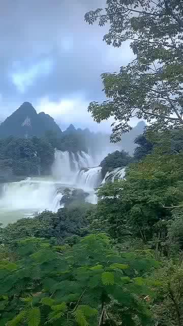 星际殖民2
